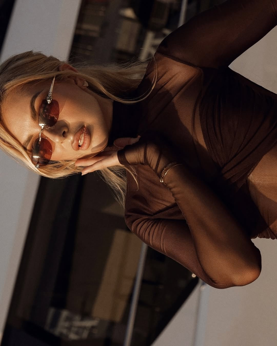 Camille Mesh Dress. Brown 2